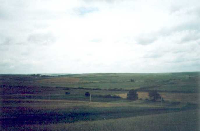 Psarskie pola